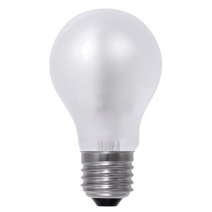 Lampe LED bulb opal 8W 230V...