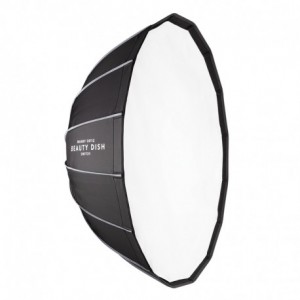 Beauty Dish Switch Argent...
