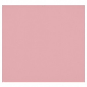 Blush Pink - 8x8 - Fond...