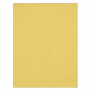 Canary Yellow - 5x7 - Fond...