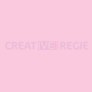039 Pink Carnation  - Tarif / Devis