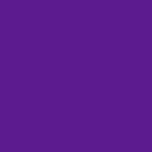 Rosco E-Color - 5084 Damson Violet
